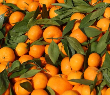 Mandarini Biologici Siciliani