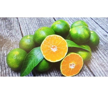 Mandarini Satsuma Miyagawa Bio Spedizione Gratuita